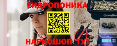 шишки Балаково