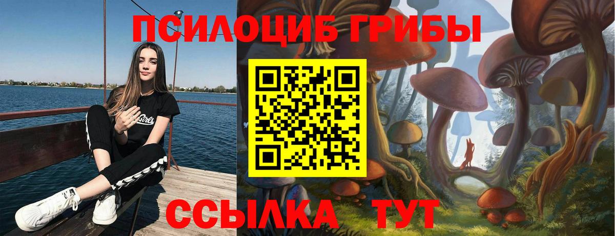 Аргун  Галлюциногенные грибы ЛСД  Вход с VPN 