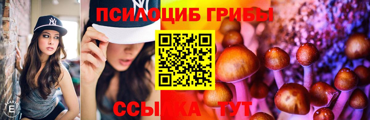 Галлюциногенные грибы Magic Shrooms Аргун